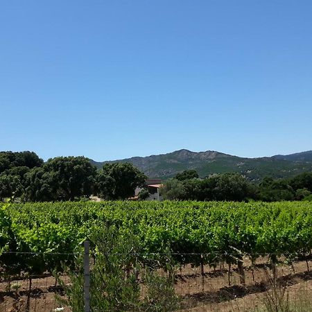 Agriturismo Su Pirastru Sa Castanza Екстериор снимка